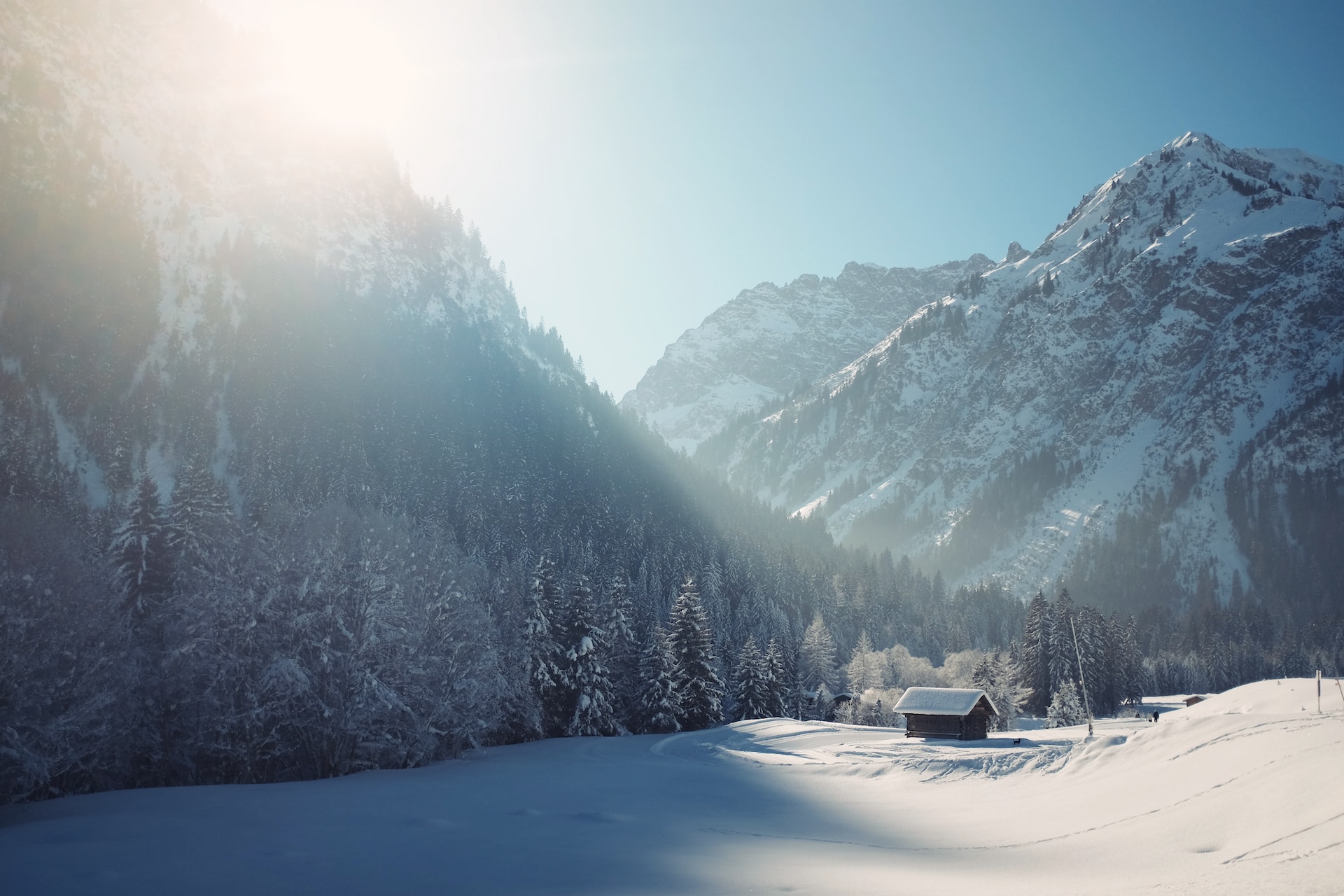 Read more about the article Spotify playlist of beautiful songs for January Winter vibes